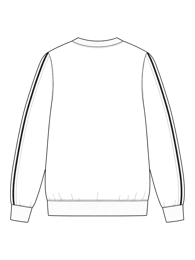 Men's longsleeve sweatshirt: technical back view.